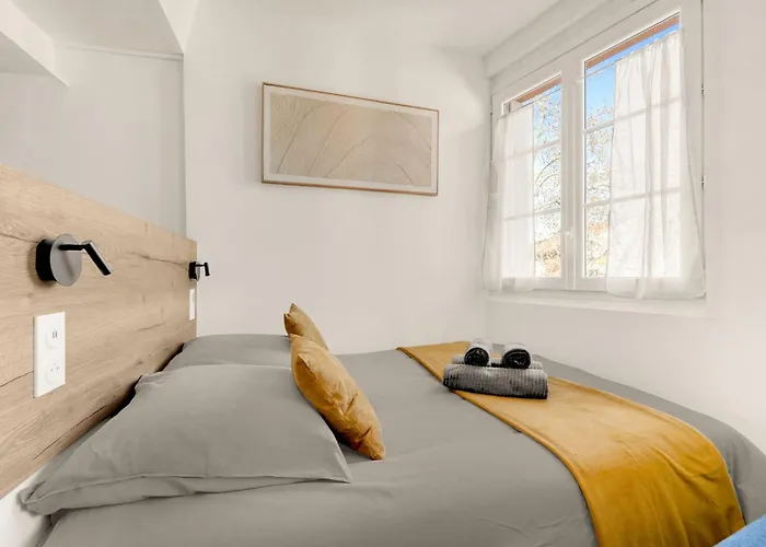 La Damloup - Hypercentre - Calme&confort Toulouse